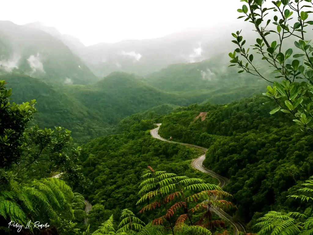 Alto mayo forma parte de la selva alta con sus paisajes