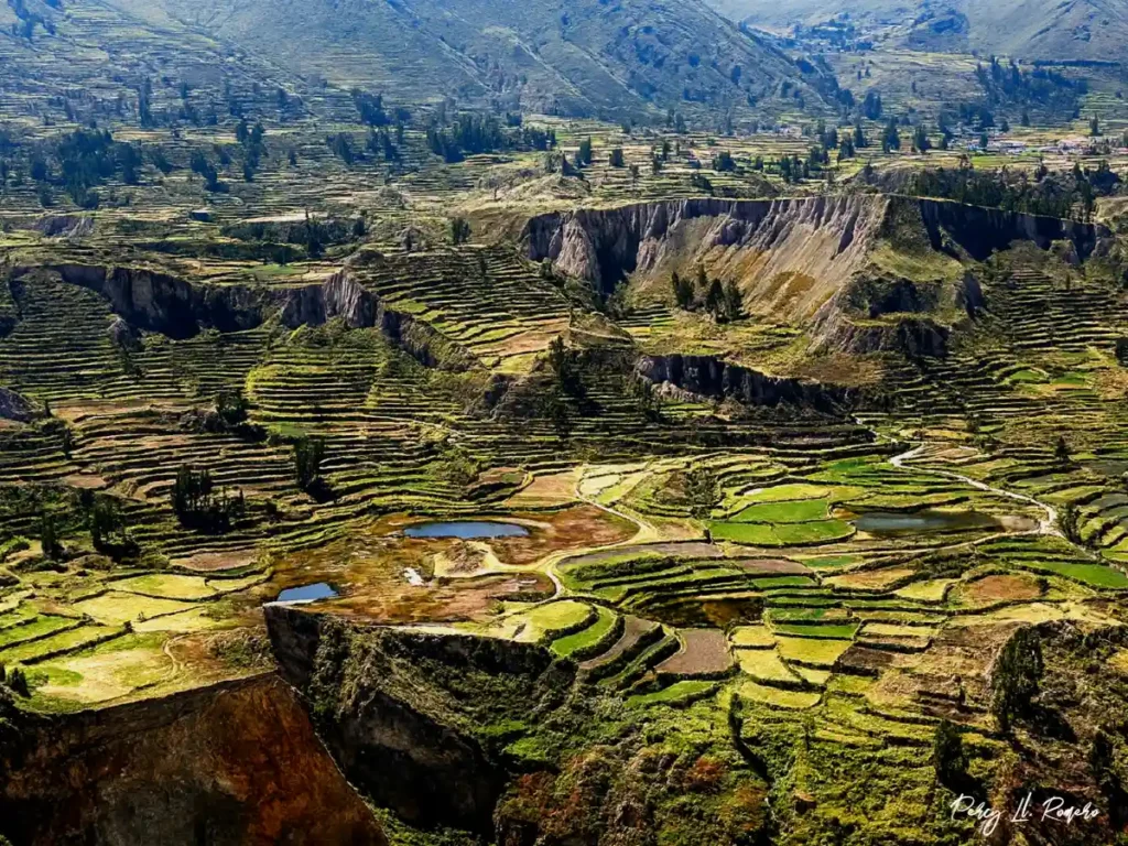 El cañón del Colca en Arequipa es uno de las regiones turísticas de la sierra peruana reconocido por su profundidad y andenes
