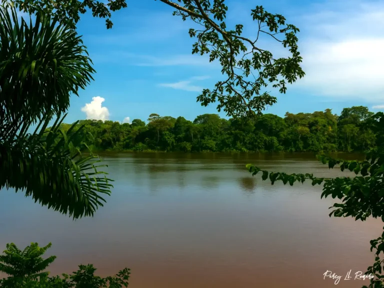 Inmenso río navegable Amazonas forma parte de los paisajes de la selva peruana