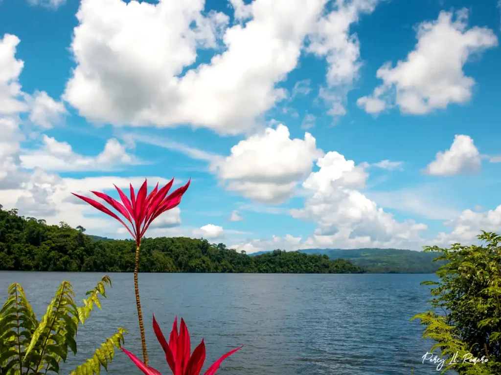 Lago Sandoval, paisaje de la selva peruana