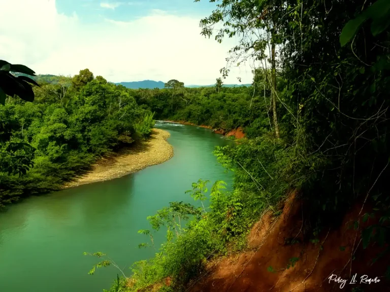 Parque nacional bahuaja sonnene en la selva peruana