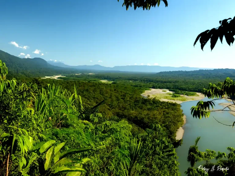 Vista del parque nacional del manu