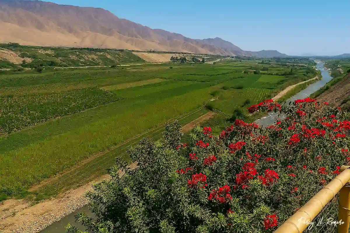 Vista panorámica del valle del río Mala desde San Vicente de Azpitia, conocido como “el balcón del cielo”, con cultivos verdes, montañas al fondo y flores rojas en primer plano.
