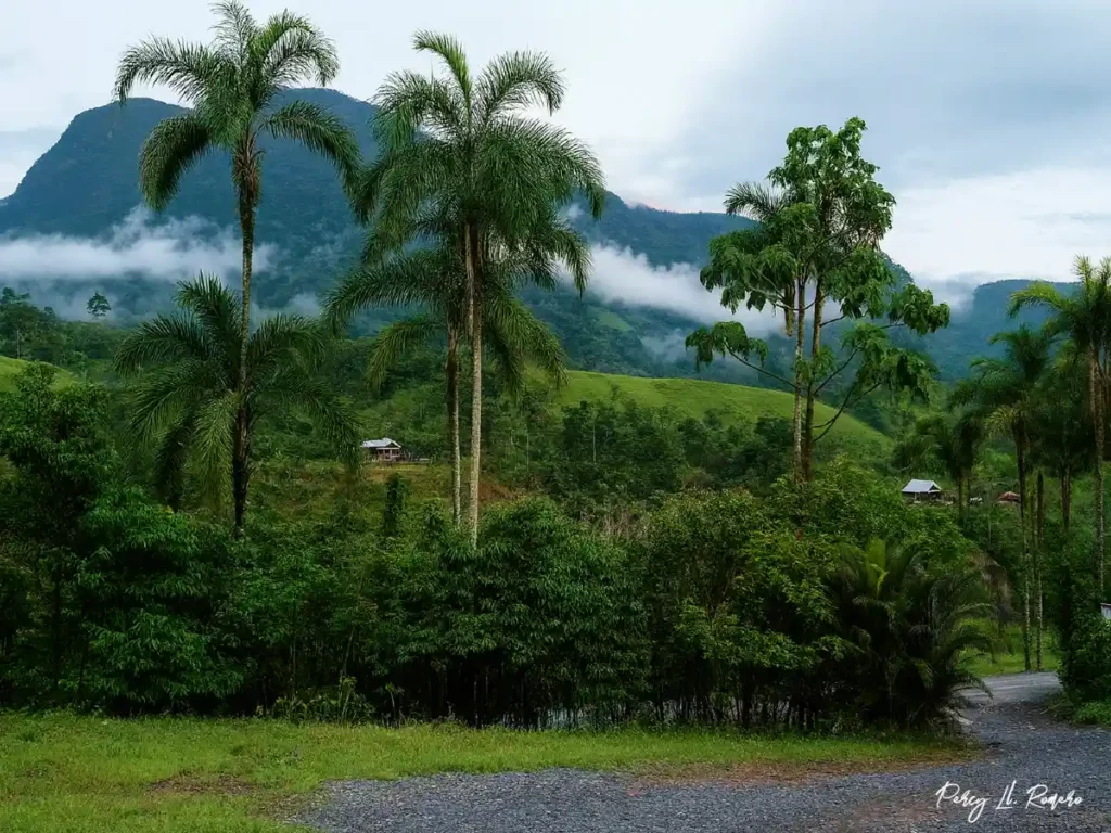 Oxapampa en la ceja de selva es parte de los paisajes de la selva peruana