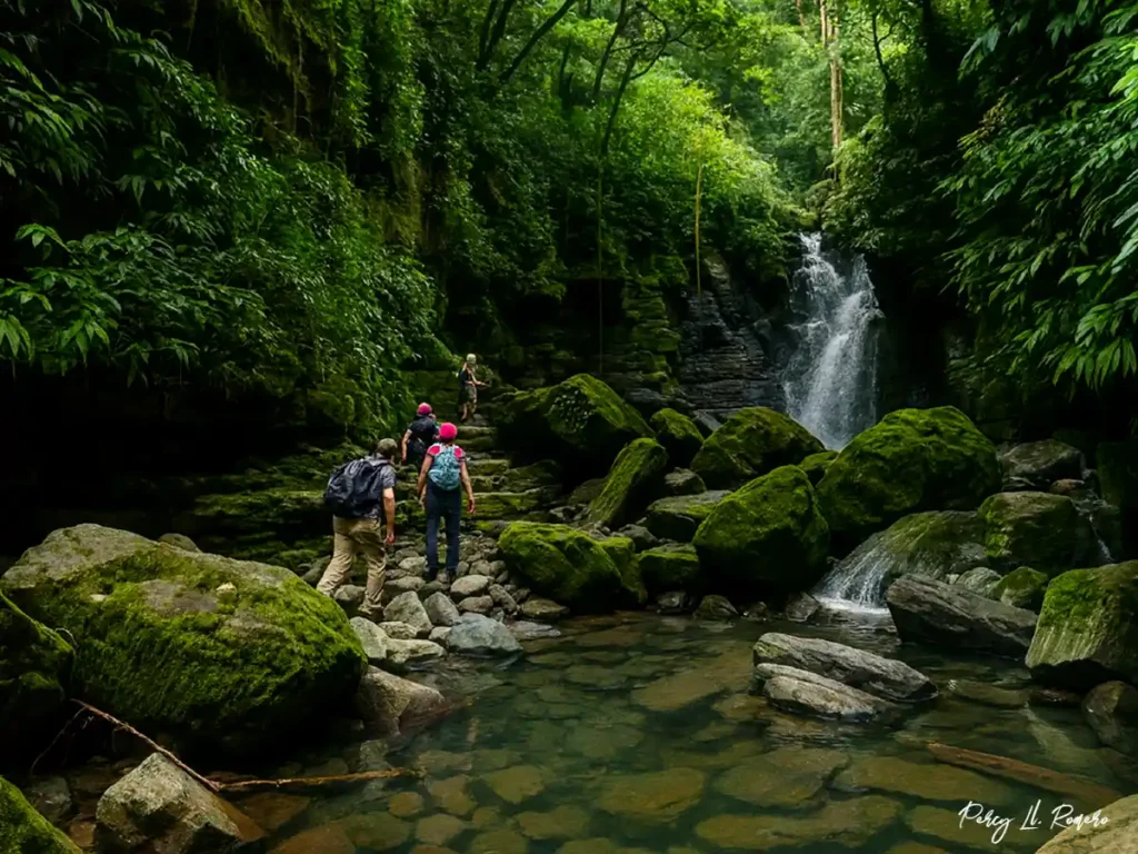 Turistas caminando por los bosques tropicales con cascadas