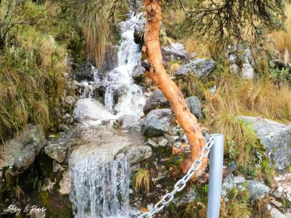zona de riachuelos camino a la laguna churup
